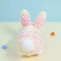 Rainbow Kitty & Bunny Crochet Pattern - Hooktasy