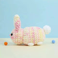 Rainbow Kitty & Bunny Crochet Pattern - Hooktasy